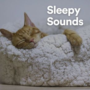 Sleepy Sounds album cover