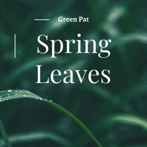 Spring Leaves album cover