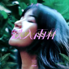Falling Down The Rain Forest album cover