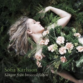 Sånger Från Broccolifälten album cover