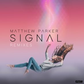 Signal. Remixes album cover
