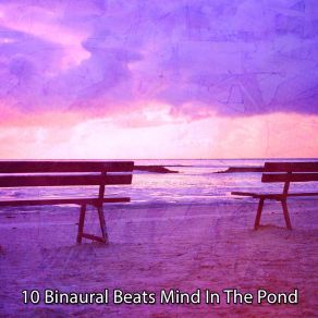 10 Binaural Beats Mind In The Pond album cover