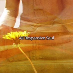 48 Responsive Soul album cover
