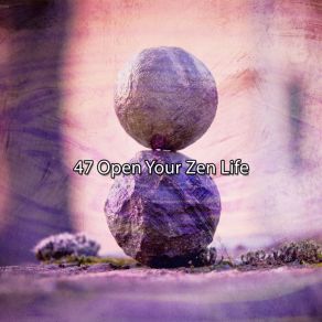 47 Open Your Zen Life album cover
