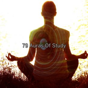 79 Auras Of Study album cover