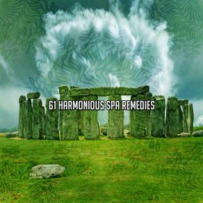 61 Harmonious Spa Remedies album cover