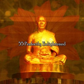 55 Perfectly Enlightened album cover