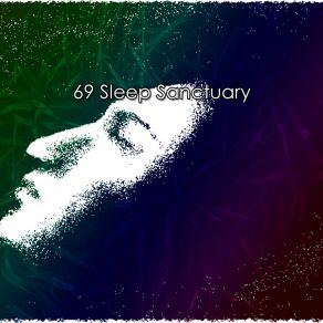 69 Sleep Sanctuary album cover