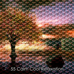 55 Calm Cool Relaxation album cover