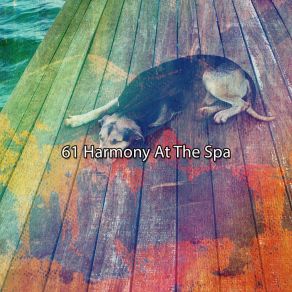 61 Harmony At The Spa album cover