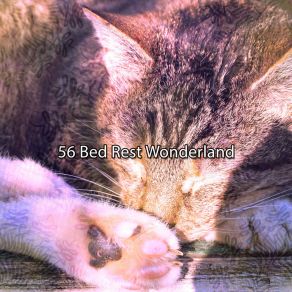 56 Bed Rest Wonderland album cover