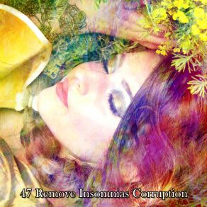 47 Remove Insomnias Corruption album cover