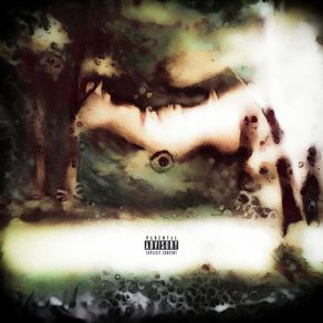 Dreams No Drums album cover