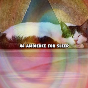 44 Ambience For Sle album cover
