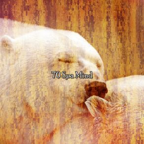 70 Spa Mind album cover