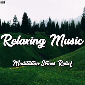 # 001 Relaxing Music Meditation Stress Relief album cover