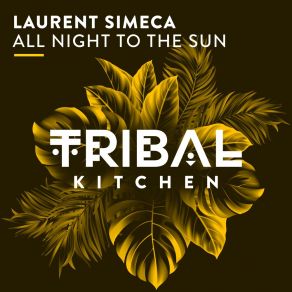 All Night To The Sun album cover