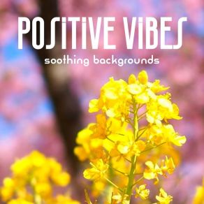 Positive Vibes album cover