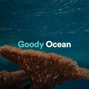 Goody Ocean album cover