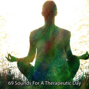 69 Sounds For A Therapeutic Day album cover