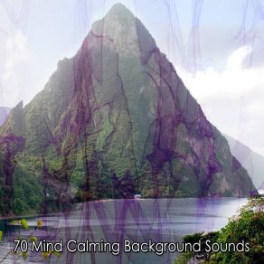 70 Mind Calming Background Sounds album cover