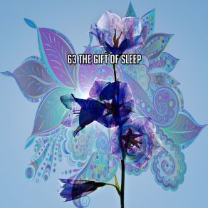 63 The Gift Of Sle album cover