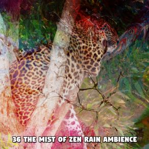 36 The Mist Of Zen Rain Ambience album cover