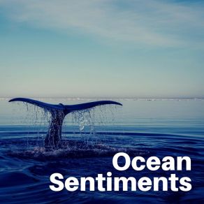 Ocean Sentiments album cover