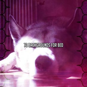 73 Backgrounds For Bed album cover