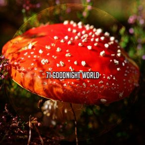 71 Goodnight World album cover