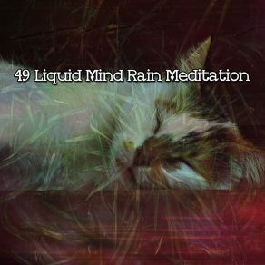 49 Liquid Mind Rain Meditation album cover