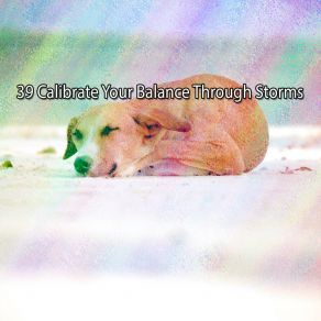 39 Calibrate Your Balance Through Storms album cover