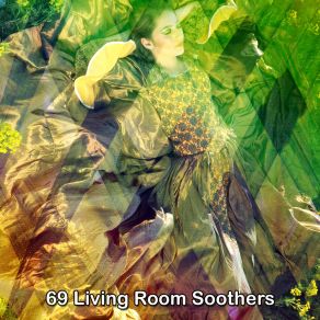 69 Living Room Soothers album cover