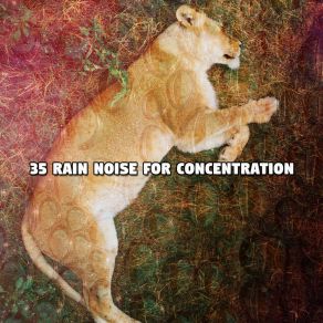 35 Rain Noise For Concentration album cover