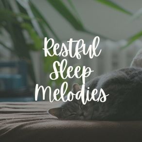 Restful Sleep Melodies album cover
