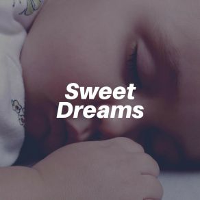 Sweet Dreams album cover