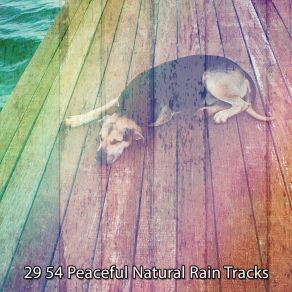 29 54 Peaceful Natural Rain Tracks album cover