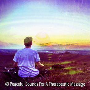 40 Peaceful Sounds For A Therapeutic Massage album cover