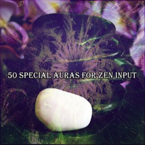 50 Special Auras For Zen Input album cover