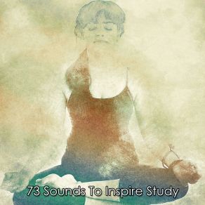 73 Sounds To Inspire Study album cover