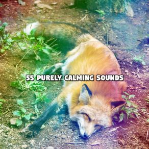 55 Purely Calming Sounds album cover
