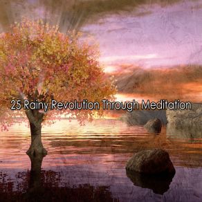 25 Rainy Revolution Through Meditation album cover