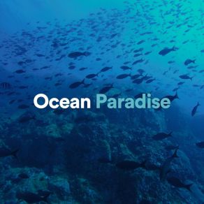 Ocean Paradise album cover