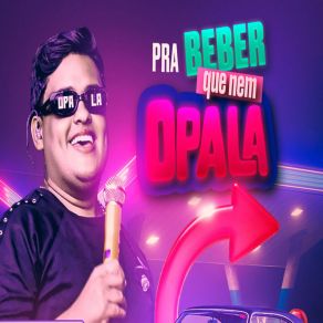 Pra Beber Que Nem Opala album cover