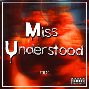 Miss Understood album cover