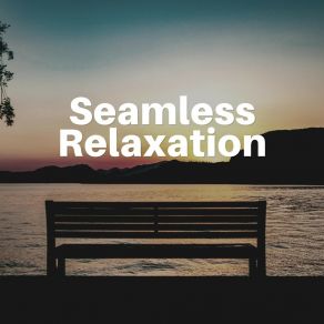 Seamless Relaxation album cover