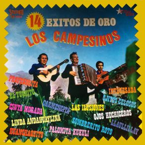 14 Éxitos De Oro album cover