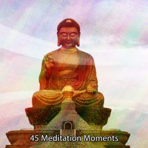 45 Meditation Moments album cover