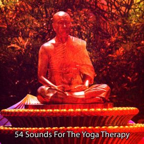 54 Sounds For The Yoga Therapy album cover