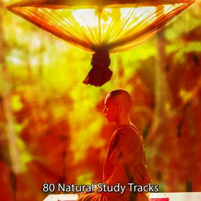 80 Natural Study Tracks album cover